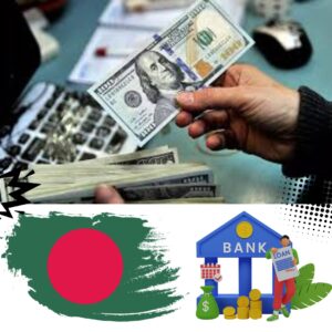 বৈদেশিক ঋণ - বন্যা ও ভাঙ্গন