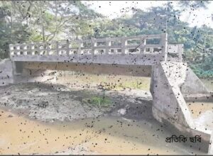 সেতু নির্মাণে সরকারকা মাল দরিয়ামে ঢাল