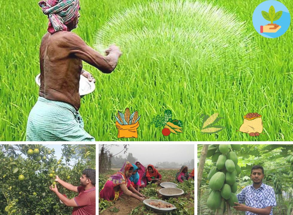 কর্মসংস্থানে কৃষিকে এ মূহুর্তে প্রাধান্য দিতে হবে