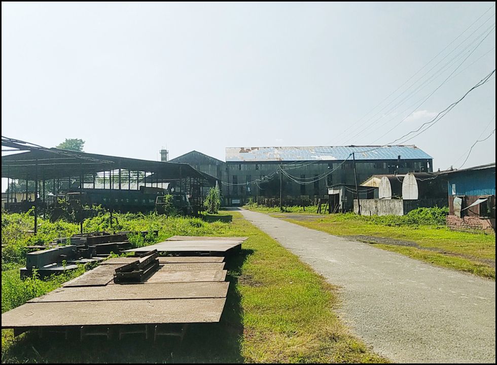 ‘শ্যামপুর চিনিকল’ আখচাষিদের মাঝে শঙ্কা কাটছেনা