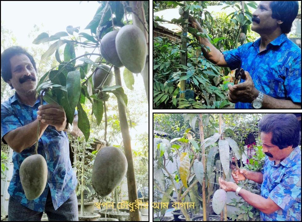 বাড়ির আঙ্গিনায় স্বপন চৌধুরীর শখের বাগান