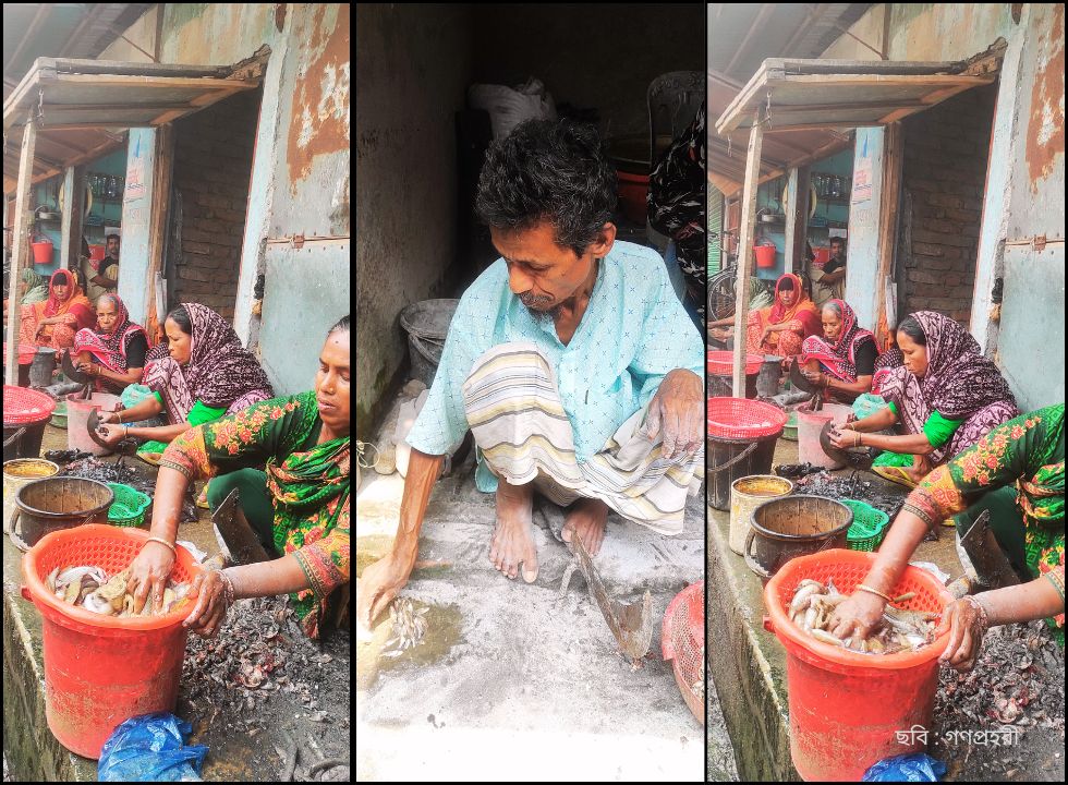 মাছ কাটা-ই যাদের পেশা