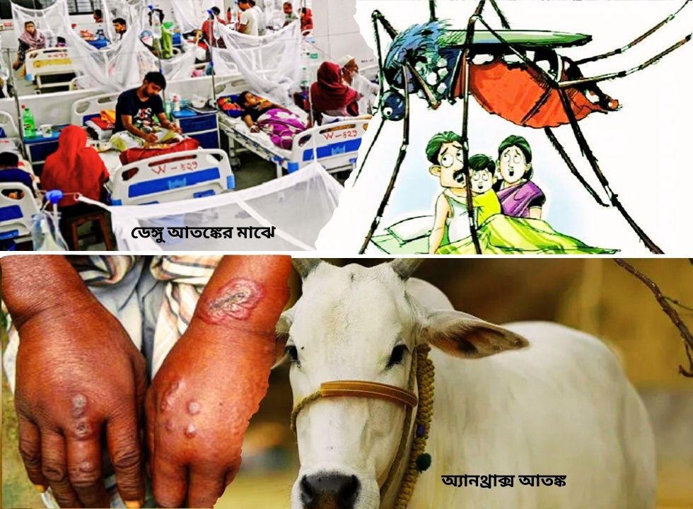 ডেঙ্গু আতঙ্কের মাঝে অ্যানথ্রাক্স আতঙ্ক